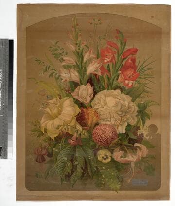 Briggs & Bro's chromo for 1875