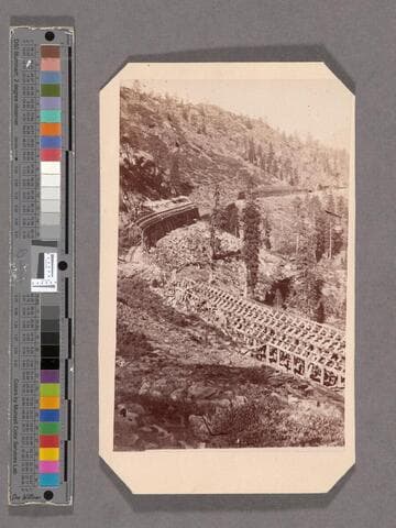 Snow Covering below Cisco