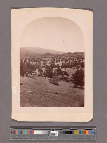 Side View of the Loop, S.P.R.R. Kern County, Cal