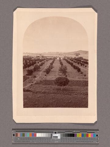 View from Lake Vineyard house, Pasadena