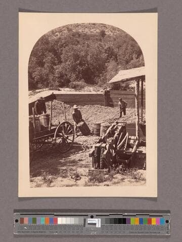 Loadings Pulp at Ravena, S.P.R.R