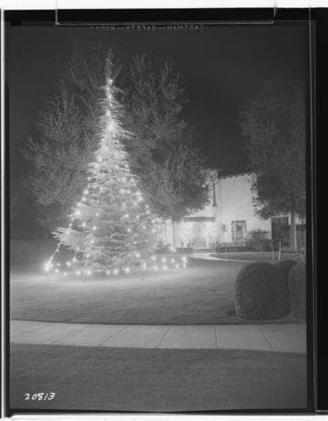 L1.1 - Lighting, misc. - Christmas lighting