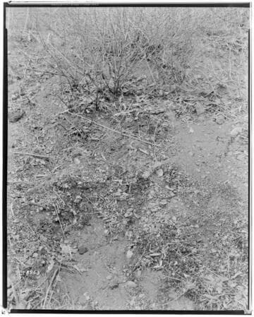 Distribution Lines - Malibu Fire Damage