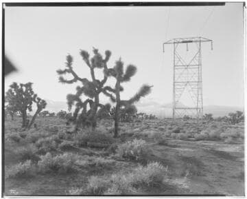 Vincent Transmission Line