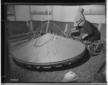 P2 - Poultry - Mr. Howle