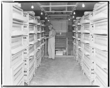 P2 - Poultry - Poultry Ranch of Mr. Fred R. Richardson