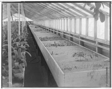 N1 - Nurseries & Soil Heating - Dienier Nursery