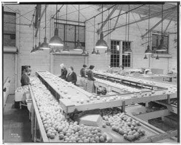 L1.8 - Lighting, Packing Plants - Murphy Ranch Packing House