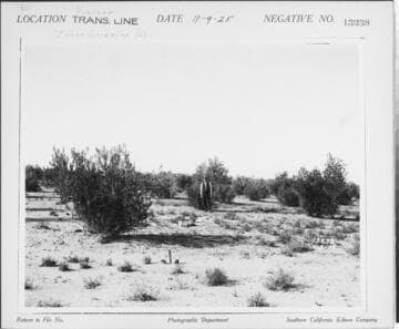 Vincent Transmission line