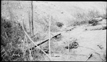 A1.1 Personal Injury-Accident