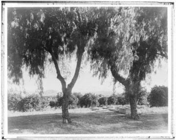 S1.2 Scenery, Mountains