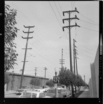 Transmission corridor with multi-circuit poles