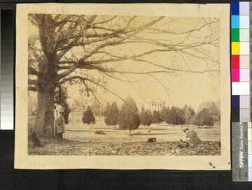 Arlington, home of Robert E. Lee, from the "Great Oak" on the Potomac