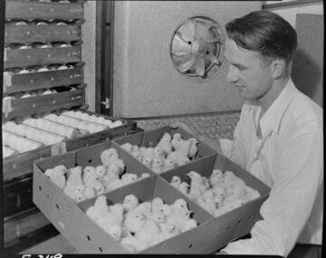 Laura Scudders' Puente ranch