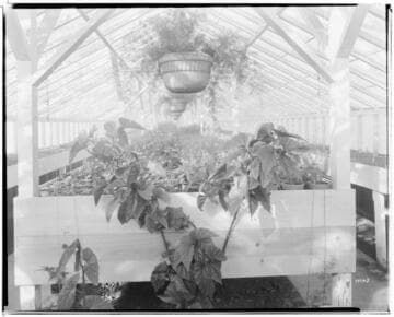 N1 - Nurseries & Soil Heating - Nursery E.L. Chappel Propagation Plant in Riverside