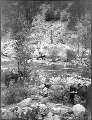 Kern River Miscellaneous