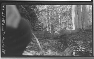 Big Creek, Miscellaneous - Sohier's investigation of future developments of Big Creek Project