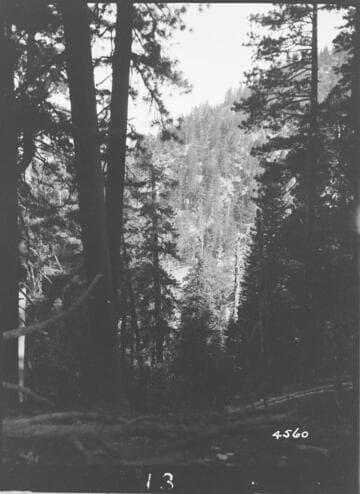 Big Creek, Shaver Lake Dam - Shaver Project
