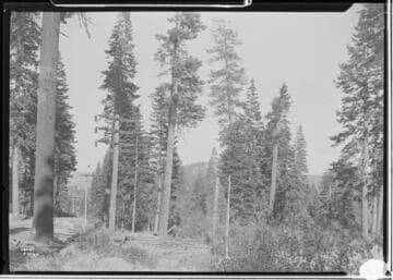 Big Creek, Florence Lake Dam