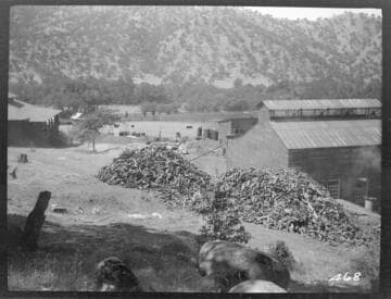 The power house and construction yard at Tule Plant