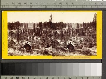 74. Secrettown Bridge