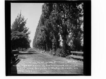 Looking N.W. from Downey Bridge. Note splendid row of Cottonwood on right. Lugo and Stephen C. Foster Ranch on the left