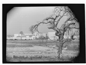 Walt Disney Studios, Burbank, Cal