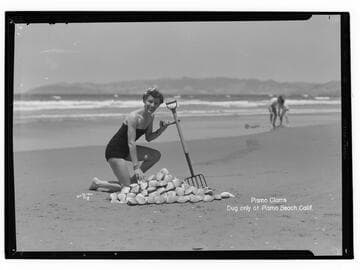 Pismo clams, dug only at Pismo Beach, Calif