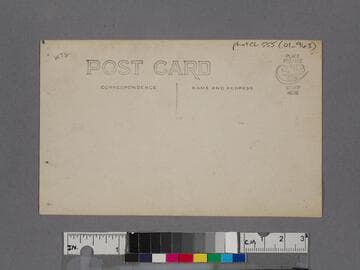 3 hours surf fishing at Redondo