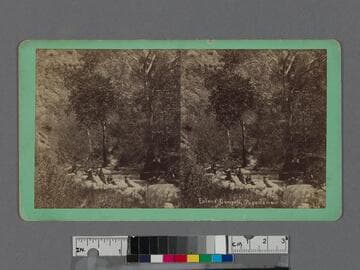 Eaton's Canyon, Pasadena