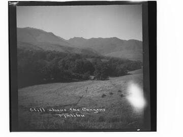 Still above the Canyons, Malibu