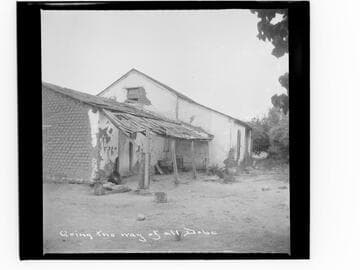 Going the way of all Dobe