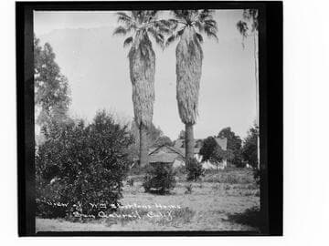 View of Wm Stockton's home, San Gabriel, Calif