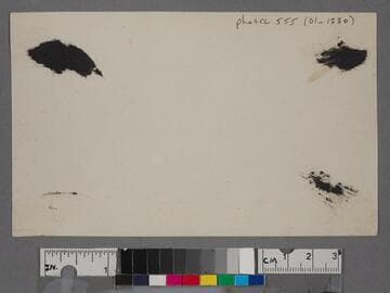 Couple sitting on bench at Palisades Park, Santa Monica