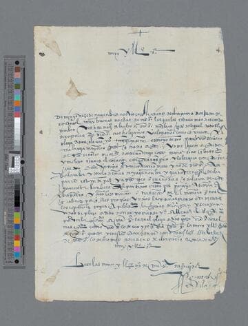 Gonzalo de Salazar letter to Gonzalo Pizarro