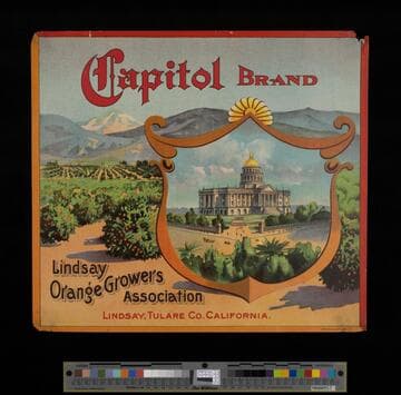 Capitol Brand
