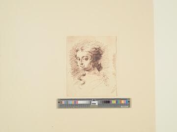 Head of a Woman