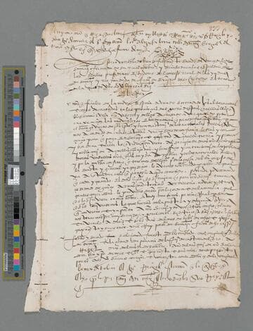 Carlos V, Emperor of Germany and King of Spain, copy of document to the Officials of Nueva España