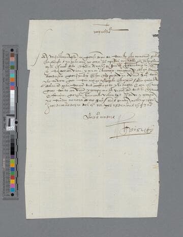 Gonzalo Pizarro letter to [-----] de Salinas