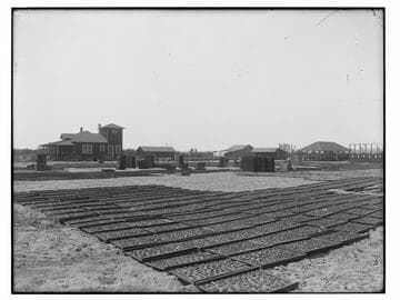 Drying produce, Merced County(?)