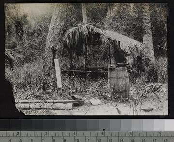 View of Seminole Indian brush hut and water barrel