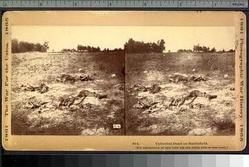 914. Unburied dead on battlefield