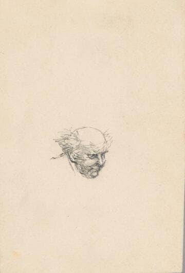 Head of a Bald Man