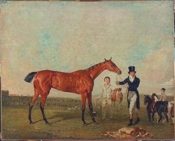 Shoveller Held by Her Trainer Will Chifney