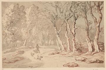 A Hunter with Three Dogs Walking Through Woods