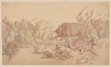 A Bull Loose in a Crowd