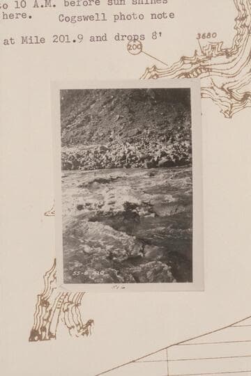 Head of Rapid 24 in Cataract Canyon