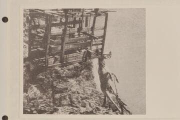 Horse hung on Bass Cable