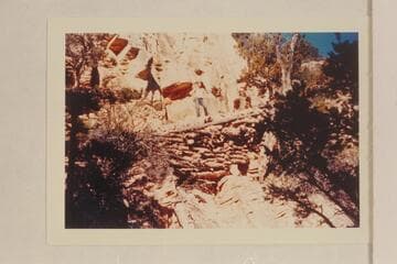 Switchback in the Coconino on the Grand View Trail