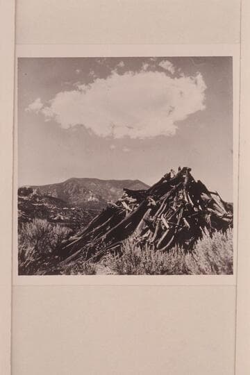 Navajo Mountain from Trail Canyon